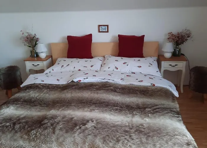 Apartman Mikulov 公寓 *
